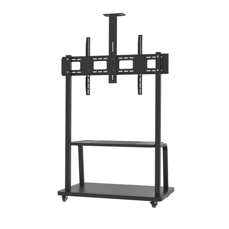 Mobile TV Cart